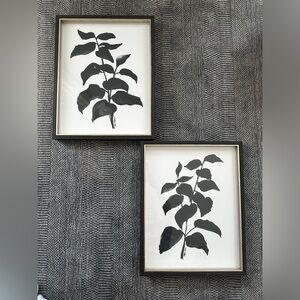 Plant print wall hangings/decor for any room in the house!